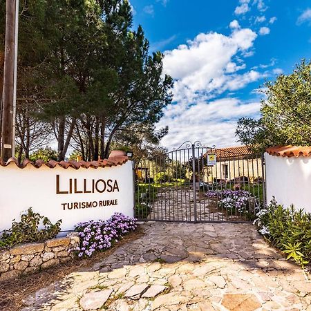 Vila Casa Lilliosa Campavaglio Exteriér fotografie
