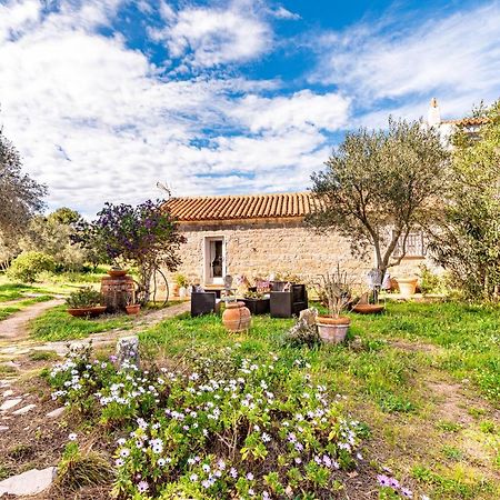 Vila Casa Lilliosa Campavaglio Exteriér fotografie