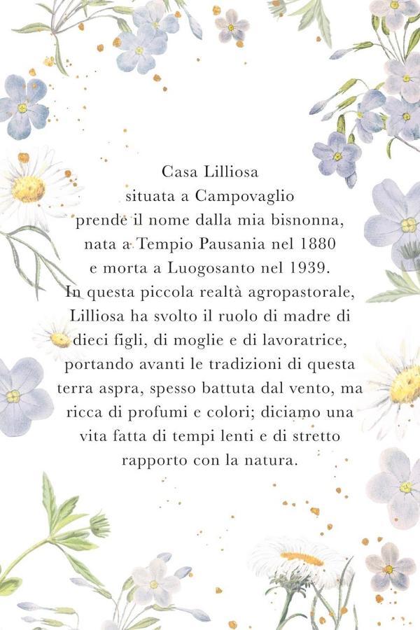 Vila Casa Lilliosa Campavaglio Exteriér fotografie