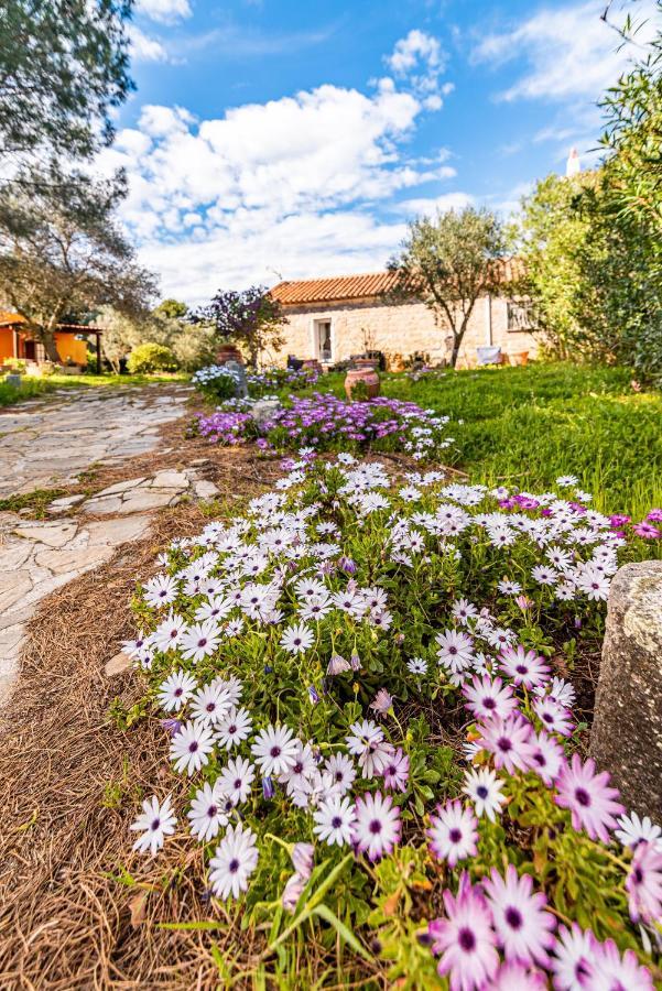 Vila Casa Lilliosa Campavaglio Exteriér fotografie